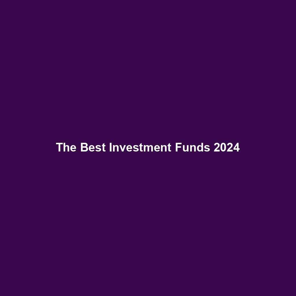 The Best Investment Funds 2024