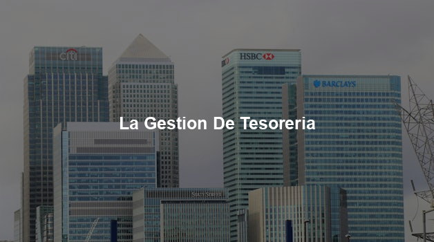 La Gestion De Tesoreria