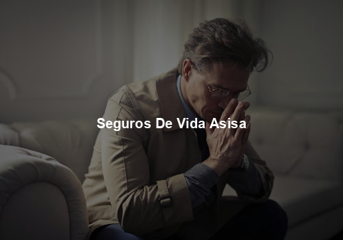 Seguros De Vida Asisa